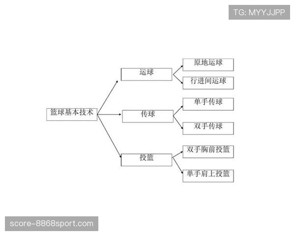 篮球规则深度解析：身体接触容忍度的判定界限